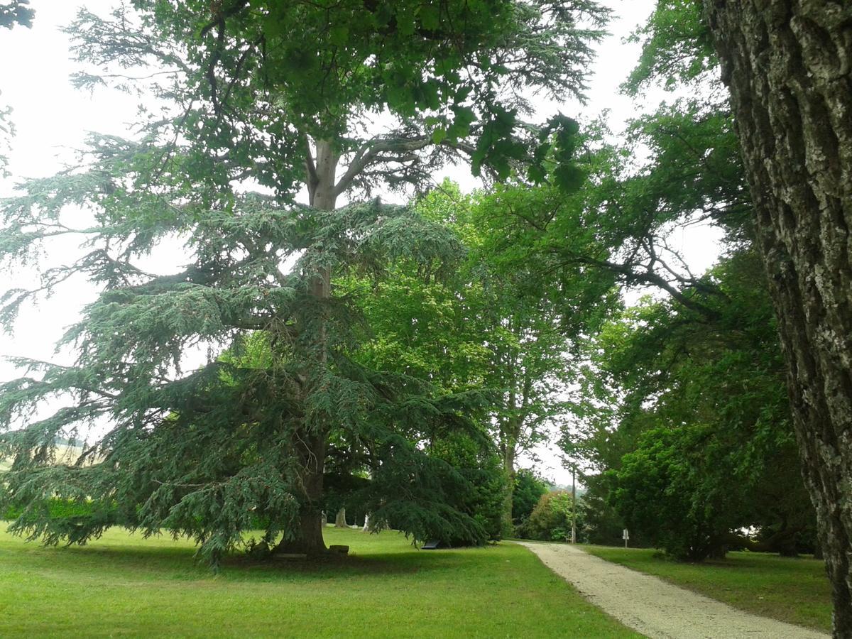 Orangerie Du Chateau Marith - Domaine Avec Piscine Clairac  Esterno foto