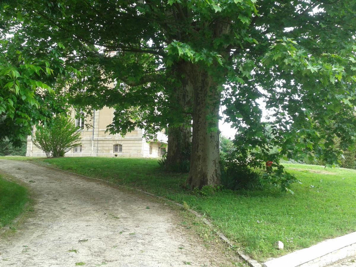 Orangerie Du Chateau Marith - Domaine Avec Piscine Clairac  Esterno foto